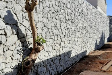 Muro de pedras e paisagismo